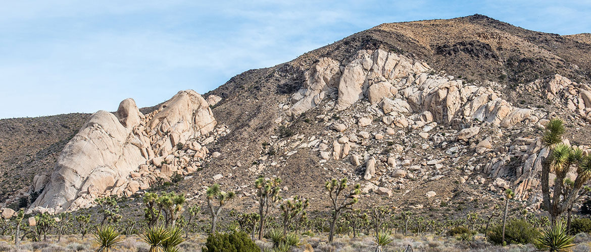 Saddle Rocks and Cowboy Crags in Joshua Tree National Park