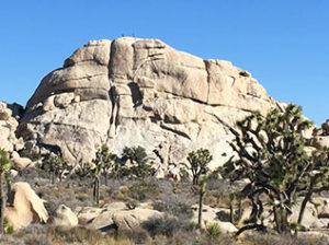 The Blob in Joshua Tree National Park
