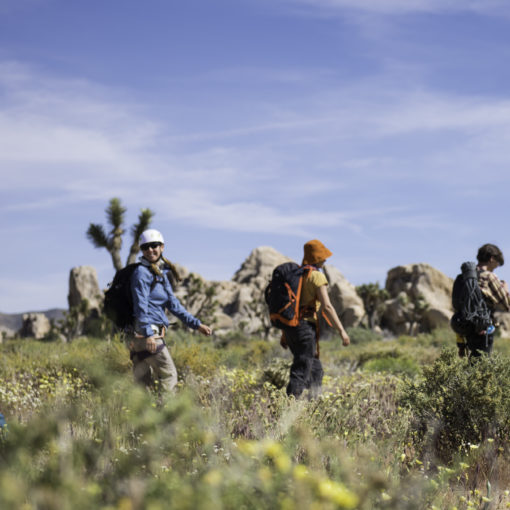 things to do in Joshua Tree